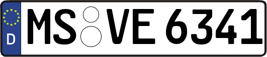 MS-VE6341