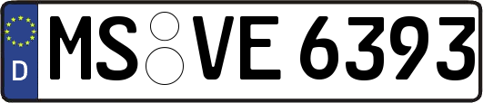 MS-VE6393
