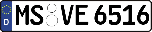 MS-VE6516