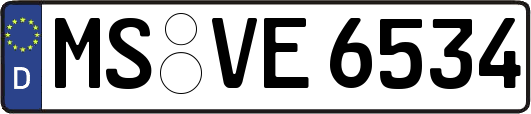 MS-VE6534