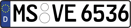 MS-VE6536