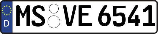 MS-VE6541