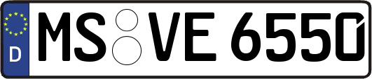 MS-VE6550