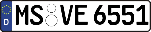MS-VE6551