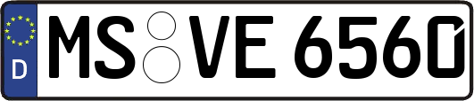 MS-VE6560