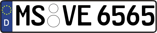 MS-VE6565