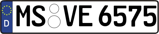 MS-VE6575