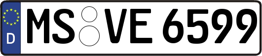 MS-VE6599