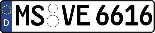 MS-VE6616
