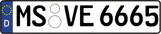 MS-VE6665