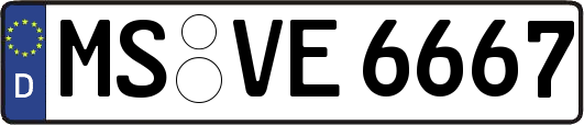 MS-VE6667