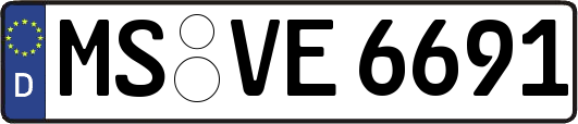 MS-VE6691