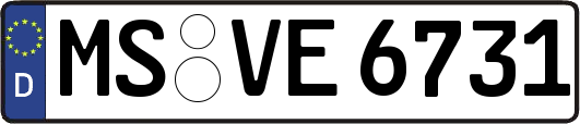 MS-VE6731