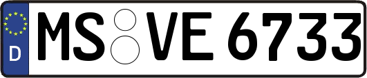 MS-VE6733