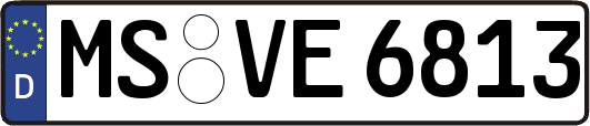 MS-VE6813