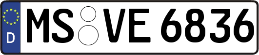 MS-VE6836