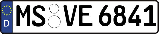 MS-VE6841
