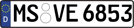 MS-VE6853