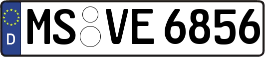 MS-VE6856