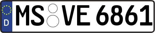 MS-VE6861