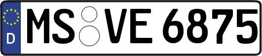 MS-VE6875