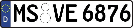 MS-VE6876
