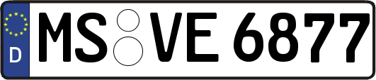 MS-VE6877
