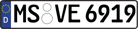 MS-VE6919