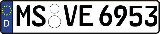 MS-VE6953
