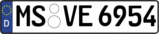 MS-VE6954