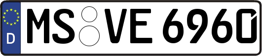 MS-VE6960