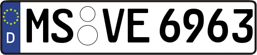 MS-VE6963