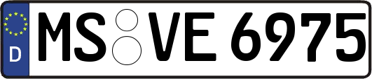 MS-VE6975
