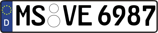 MS-VE6987