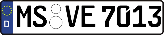 MS-VE7013