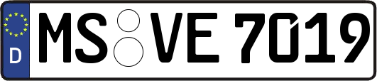 MS-VE7019