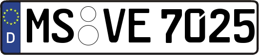 MS-VE7025