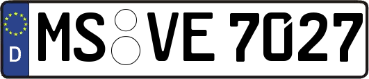 MS-VE7027