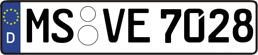 MS-VE7028