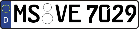 MS-VE7029