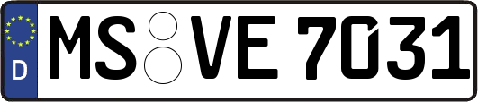 MS-VE7031