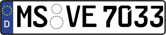 MS-VE7033