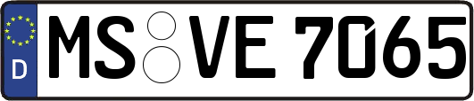 MS-VE7065