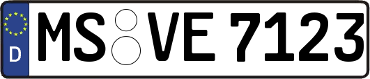 MS-VE7123