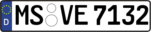 MS-VE7132