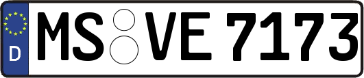 MS-VE7173