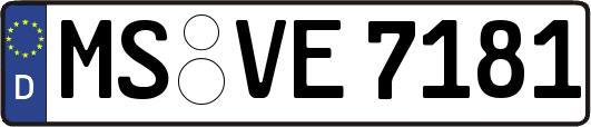 MS-VE7181