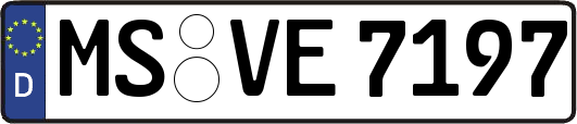 MS-VE7197