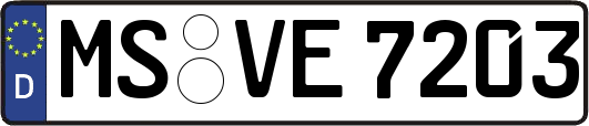 MS-VE7203