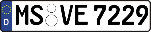 MS-VE7229